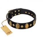 "Venerable Pawty" FDT Artisan Black Leather German Shepherd Collar with Old Bronze-like Ovals and Studs