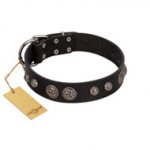 "Tricky Ricky" FDT Artisan Black Leather German Shepherd Collar Adorned with Silver-Like Conchos