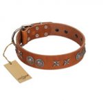 "Splendid Armor" Premium Quality FDT Artisan Tan Designer German Shepherd Collar with Shields and Stars