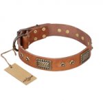 "Catchy Look" FDT Artisan Decorated Tan Leather German Shepherd Collar