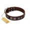 "Needle Stories" Modern FDT Artisan Brown Leather German Shepherd Collar with Square Engraved Plates and Four-Point Stars