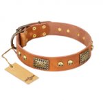 "Saucy Nature" FDT Artisan Tan Leather German Shepherd Collar with Old Bronze Look Plates and Skulls