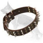 Adjustable German Shepherd Dog Collar