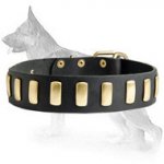 Gorgeous Wide Leather Dog Collar & Plates