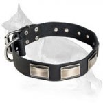 German Shepherd Leather Dog Collar Rusty Plates Deluxe