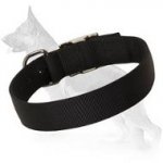 Nickel Plated Hardware Nylon Collar for German Shepherd