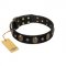 Pirate's Spell' FDT Artisan Black Leather German Shepherd Collar with Engraved Studs and Medallions