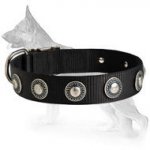 All Weather Collar with Silver Conchos