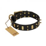 "Medieval Style" FDT Artisan Leather Collar with Brass Plates and Spikes for German Shepherd