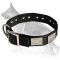 Nylon Dog Collar For Large and Medium Breeds With Vintage Plates