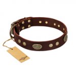 "Old-fashioned Glamor" FDT Artisan Brown Leather German Shepherd Collar with Old Bronze Look Plates and Circles