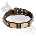 German Shepherd Leather Dog Collar Brass Plates 3 Spikes
