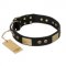 "Spanish night" FDT Artisan Fashionable Leather Walking German Shepherd Collar