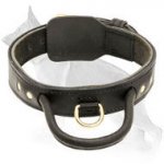 Better Control 2 Ply German Shepherd Leather Collar