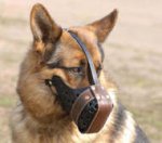 Leather Dog Muzzle "Dondi" For German Shepherd
