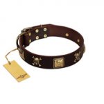 "Crazy Pirate" FDT Artisan Brown Leather German Shepherd Collar with Old Bronze-Plated Skulls and Plates