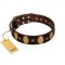 "Crystal Mirror" FDT Artisan Handmade Brown Leather German Shepherd Collar - 1 1/2 inch (40 mm) Wide