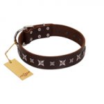 "Stellar Fairy " FDT Artisan Brown Leather German Shepherd Collar with Chrome-plated Star-like Decorations