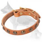 Leather German Shepherd Collar with Brass Half-Ball Studs