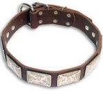 German Shepherd Leather Dog Collar Massive Plates with Nickel Covering