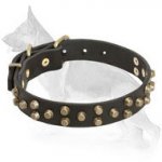 Leather German Shepherd Collar with Old Brass Pyramids