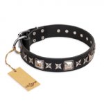 'Space Walk' FDT Artisan Black Leather GSD Collar with Adornments