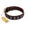 "Spiky Way" FDT Artisan Brown Leather German Shepherd Collar with Silver-Like Decorations