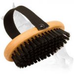 All Coat Types Daily Grooming Bristle Brush