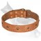 Decorated with Flowers Leather Collar Spring Mood
