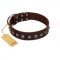 "Kingly Grace" FDT Artisan Brown Leather German Shepherd Collar with Silver-like Dotted Studs