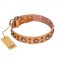'Extra Sparkle' FDT Artisan Handcrafted German Shepherd Tan Leather Dog Collar