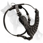 Spiked Leather Harness For German Shepherd Dog