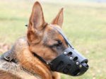 Everyday Leather Muzzle For German Shepherd
