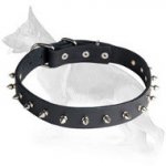 German Shepherd Leather Dog Collar Spikes 1 Row
