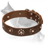 Classy Camomile Design Full Grain Selected Leather Collar
