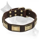 Leather German Shepherd Collar with Brass Plates