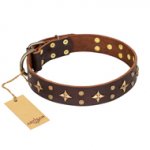 'High Fashion' FDT Artisan Embellished Brown Leather German Shepherd Collar