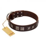 "Needle Stories" Modern FDT Artisan Brown Leather German Shepherd Collar with Square Engraved Plates and Four-Point Stars