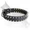 German Shepherd Leather Dog Collar Spikes 2 Rows