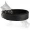 Padded Leather Dog Collar with Thick Felt - C24