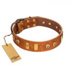 "Egyptian Script" FDT Artisan Tan Leather German Shepherd Collar with Plates and Small Studs