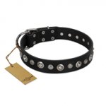 "Genteel Charm" FDT Artisan Black Leather German Shepherd Collar with Silver-like Round Conchos
