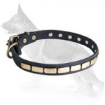 Slide Leather German Shepherd Collar with Brass Plates