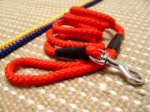 Cord nylon dog leash - 5 foot dog leash
