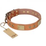 "The Middle Ages" FDT Artisan Handcrafted Tan Leather German Shepherd Collar