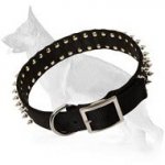 Leather Spiked Dog Collar