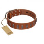 "Silver Century" Fashionable FDT Artisan Tan Leather German Shepherd Collar with Silver-Like Plates