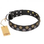 "Romantic Breeze" FDT Artisan Black Leather German Shepherd Collar with Sparkling Circles