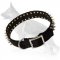 Leather Spiked Dog Collar