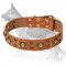 Mighty Space-like Adorned Leather Collar for German Shepherd